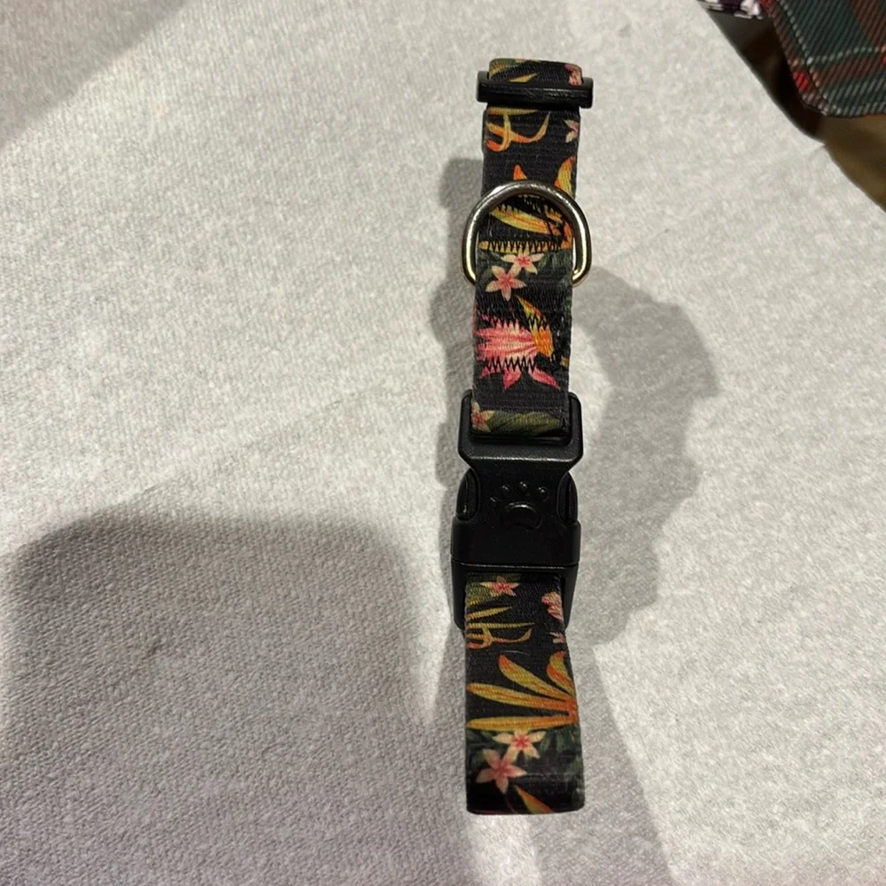Medium - Large Halloween Dog or cat collar